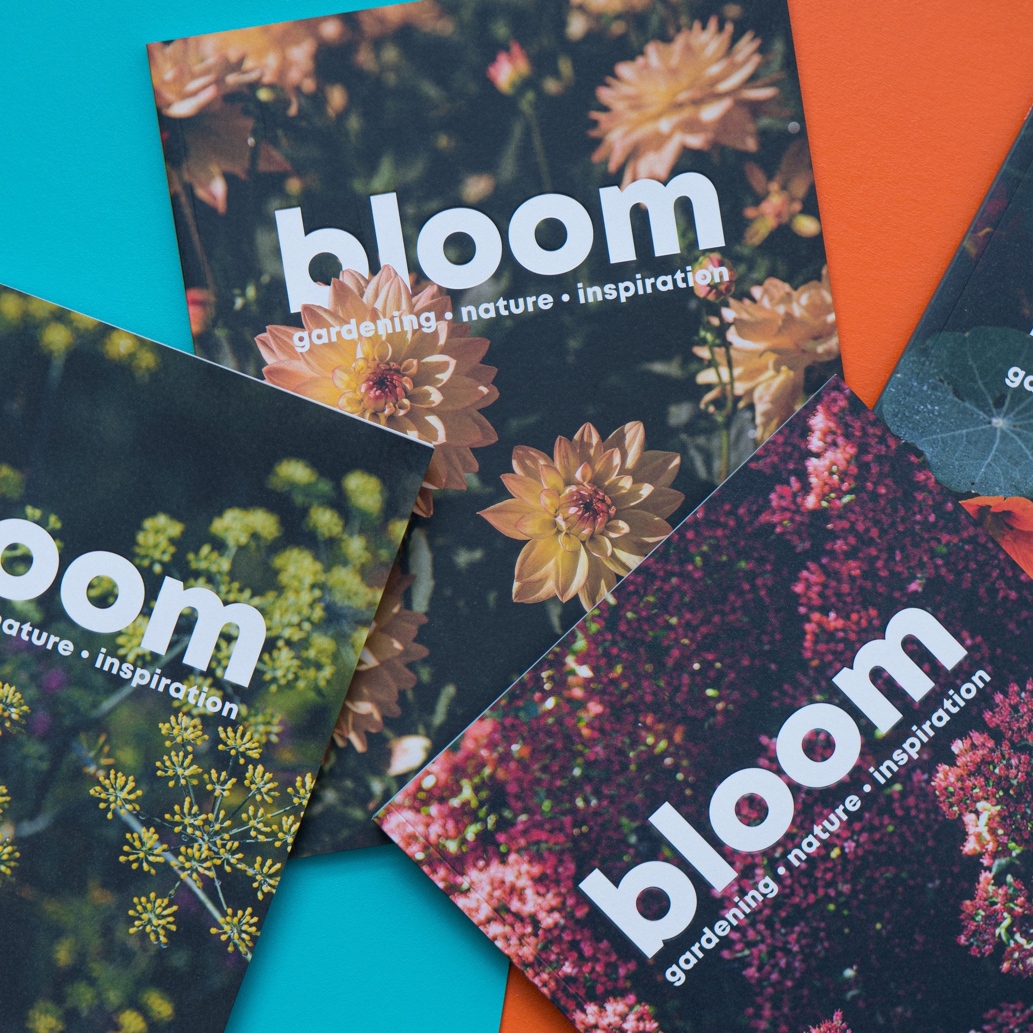 Bloom Magazine - Mlkwood Store