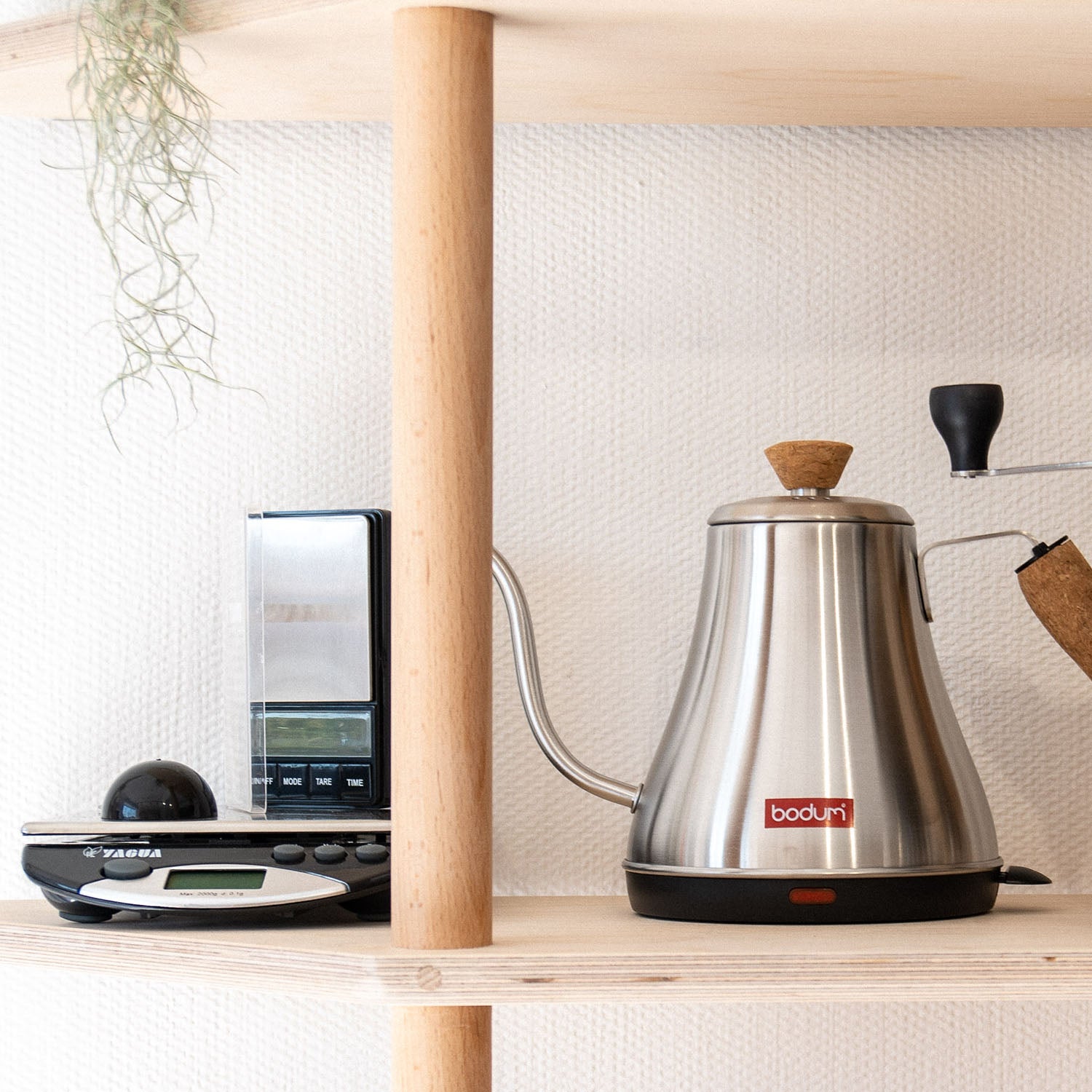 Bodum