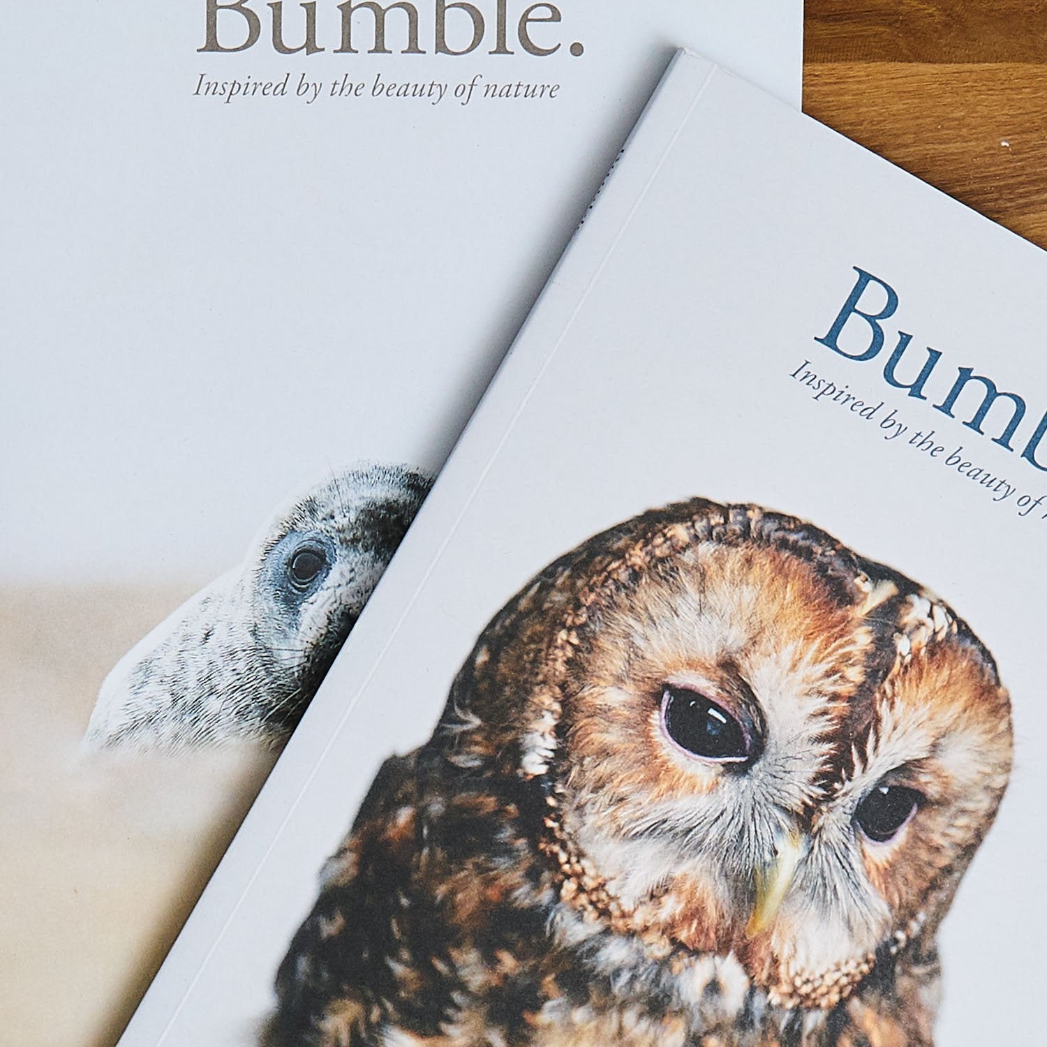 Bumble Magazine - Mlkwood Studio 