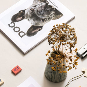 Dog Magazine - Mlkwood Store - Yorkshire