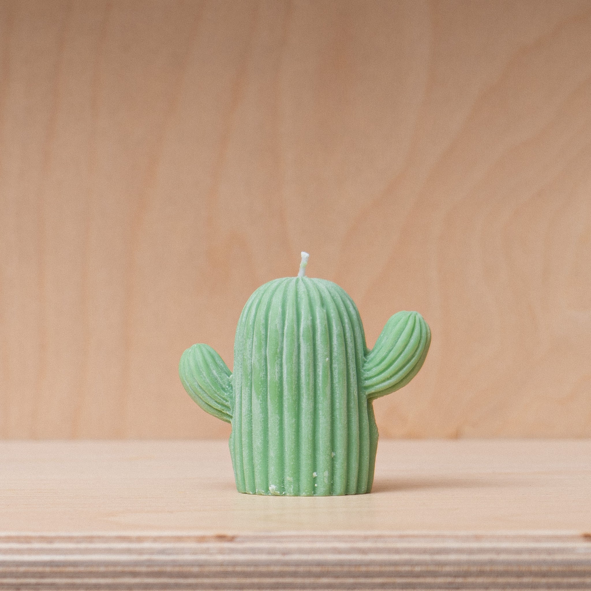 Nely Store Cactus Candle - Large Green