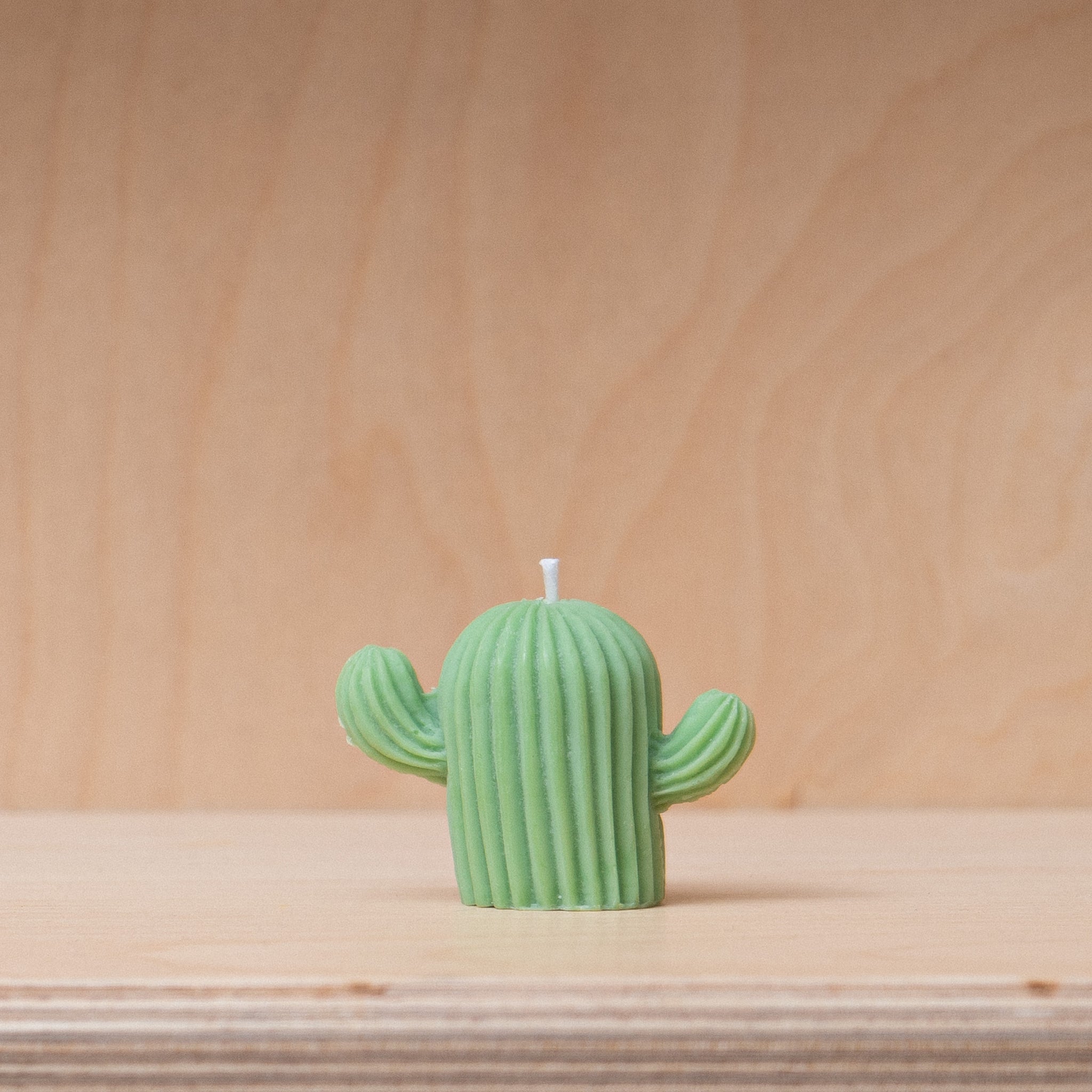 Nely Store Cactus Candle - Small - Green