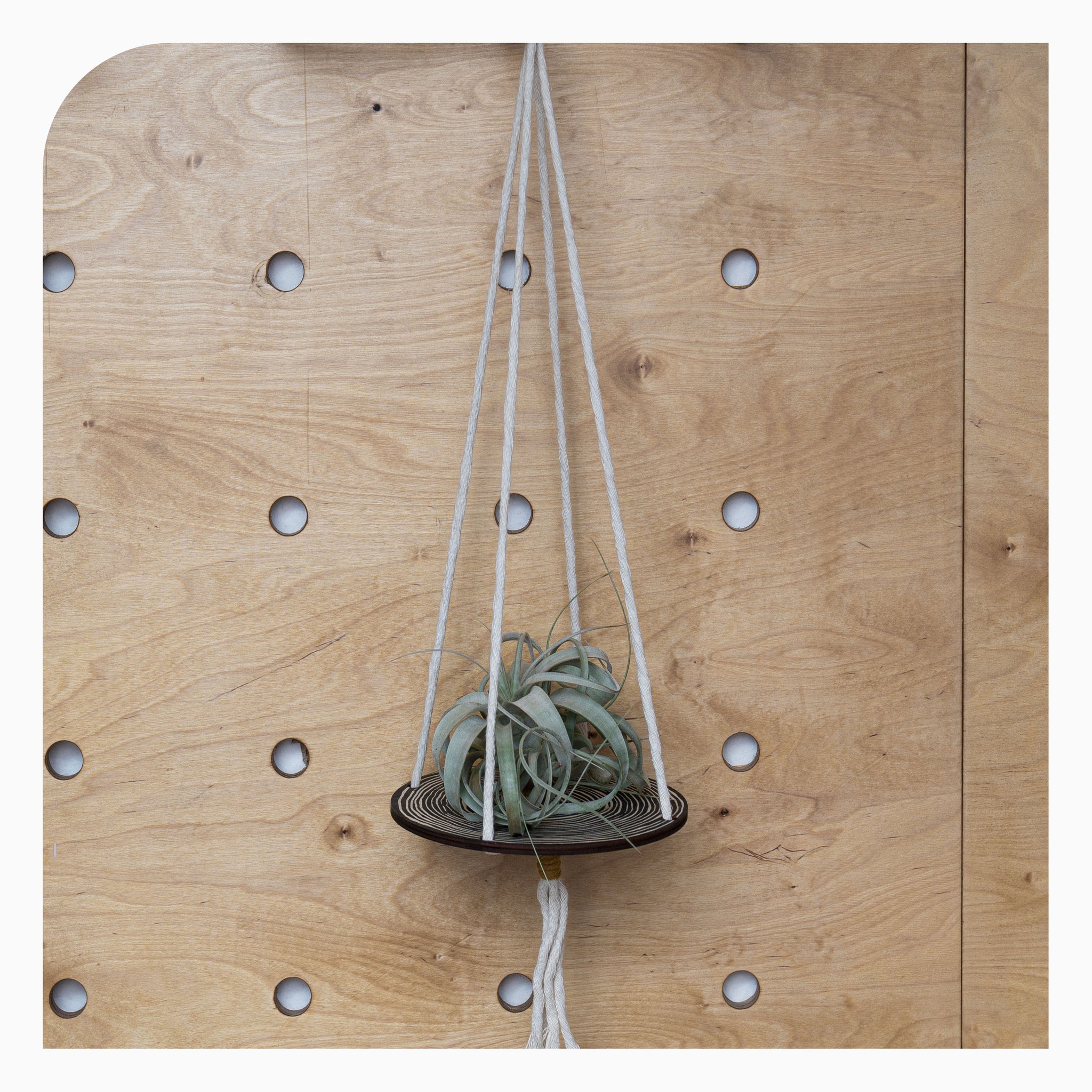 Studio Wald - Plant Hanger