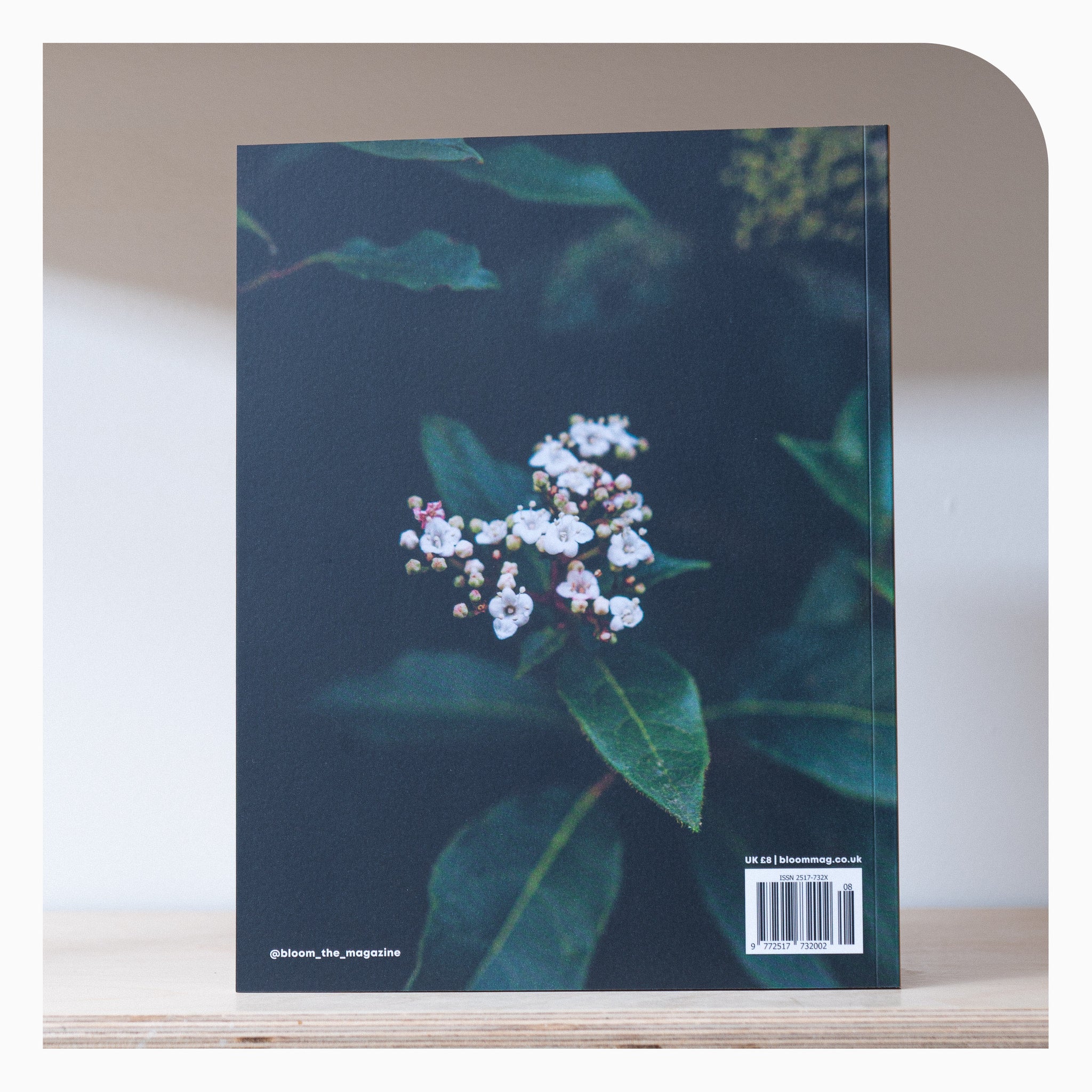 Bloom Magazine- Issue 8