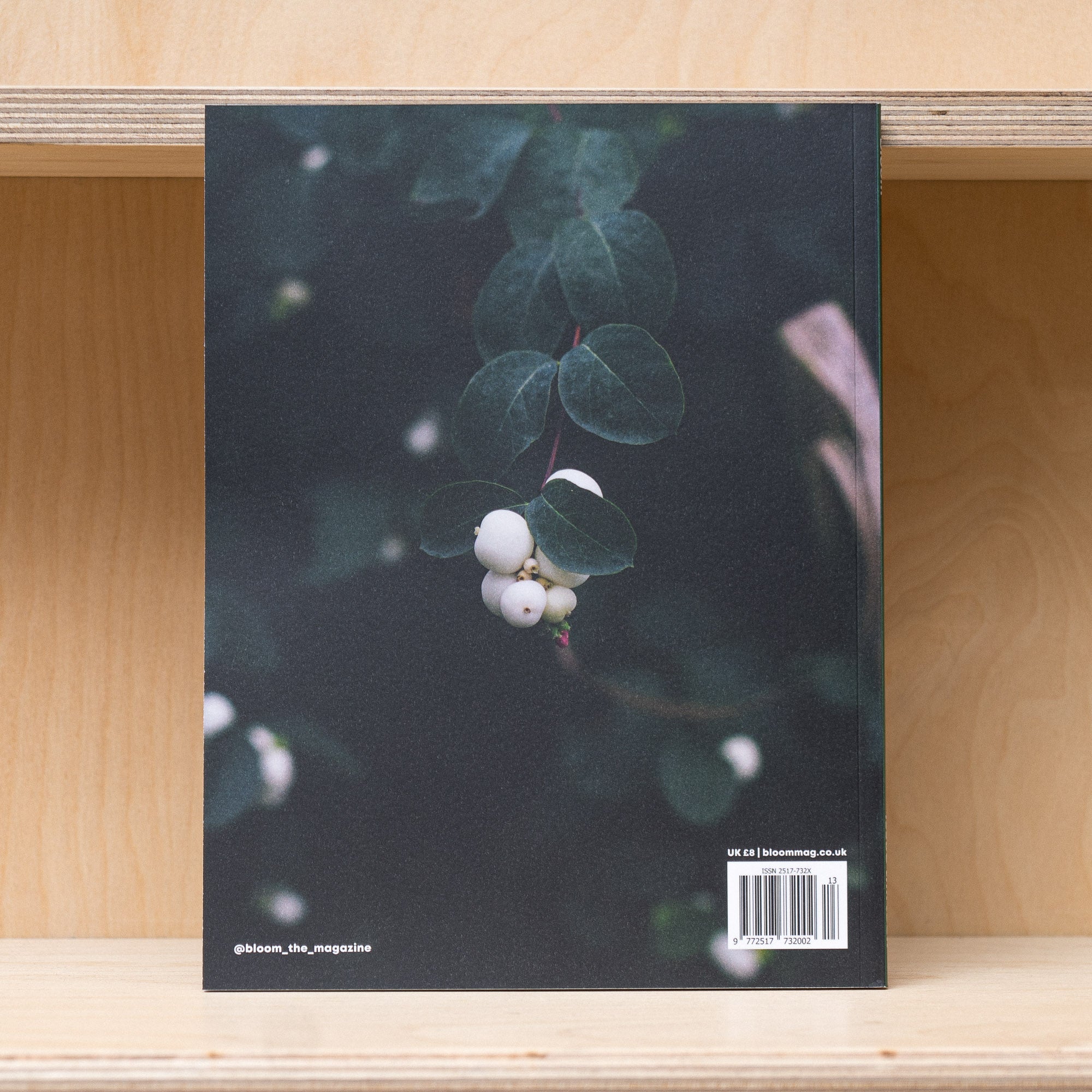 Bloom Magazine- Issue 13